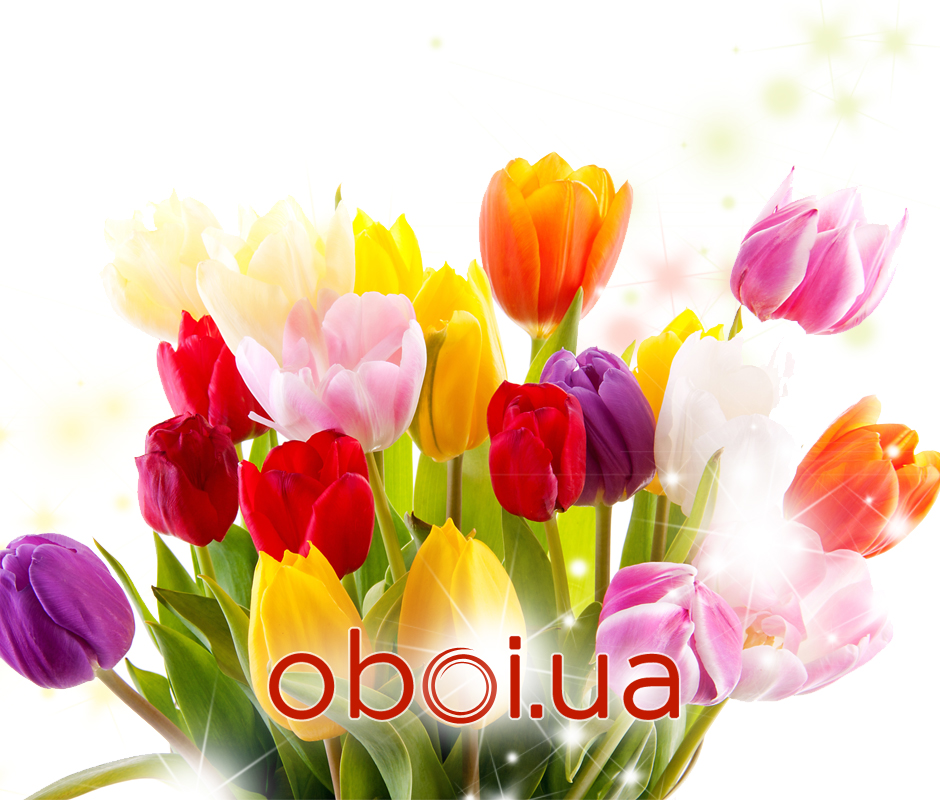 Поздравляем Вас с праздником весны – 8 марта!