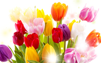 Поздравляем Вас с праздником весны – 8 марта!