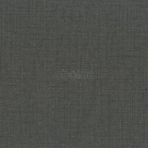 as-creation-perfect-387502-0