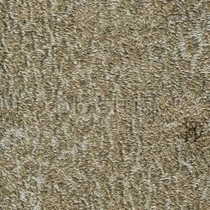emiliana-parati-roberto-cavalli-6-rc17086-0