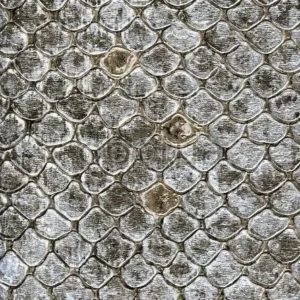 emiliana-parati-roberto-cavalli-6-rc17101-0