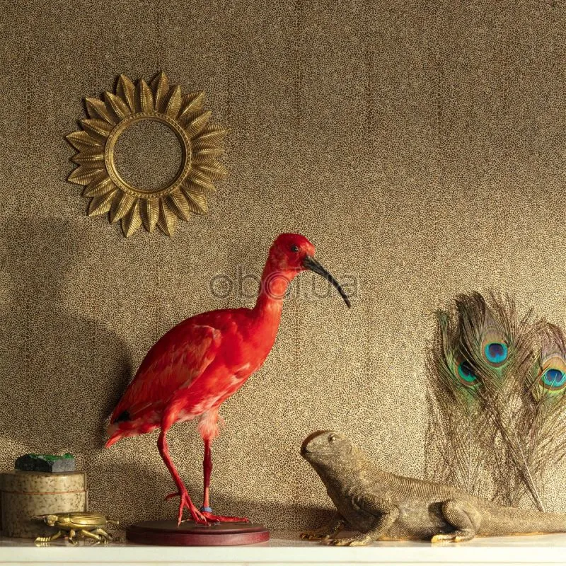 Шпалери Khroma Cabinet Of Curiosities CAB904