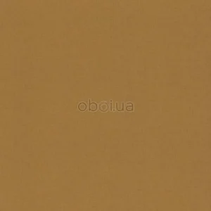 khroma-zoom-bahia-mag107-0