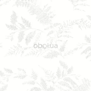 lutece-tartine-et-chocolat-2-36200509-0