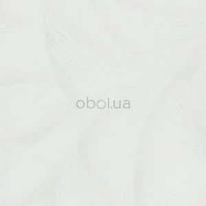 marburg-ritus-35403-0