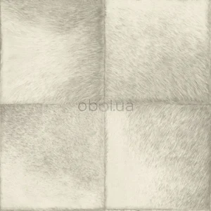 rasch-club-425901-0