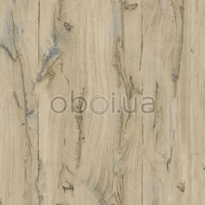 ugepa-odysee-l86008-0