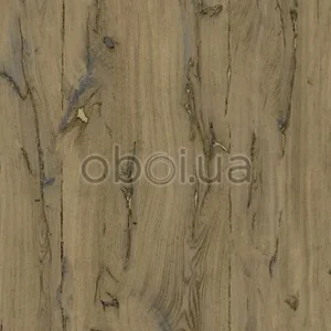 ugepa-odysee-l86018-0